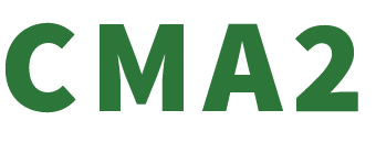 CHINATOWN MEDIA AND ARTS COLLABORATIVE logo